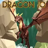 Dragon io