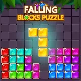 Falling Blocks Puzzle